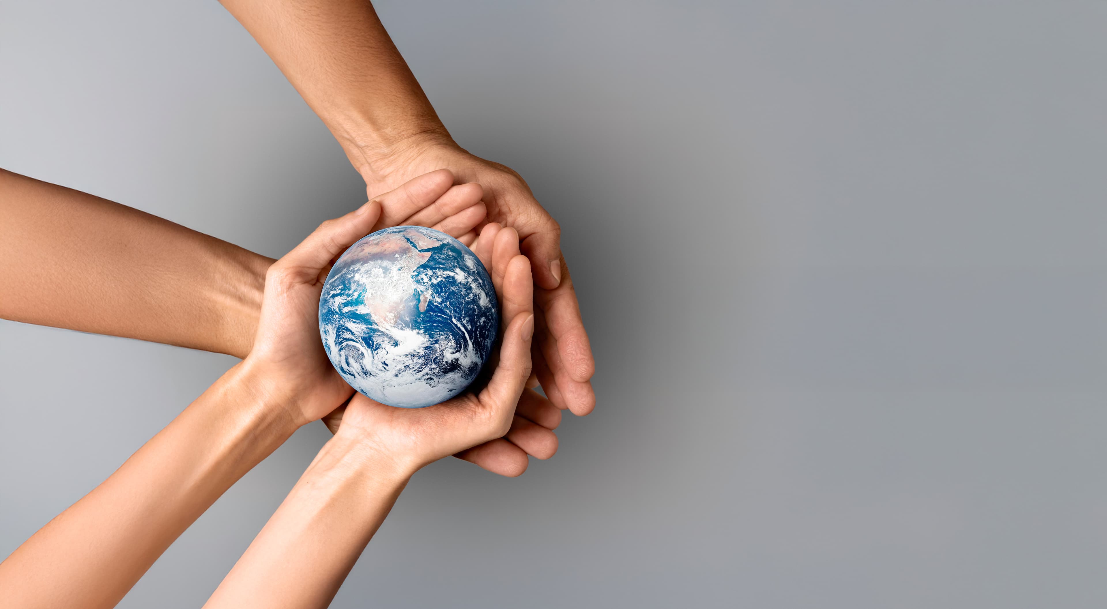 Give back to the planet, your time, funds, your skills.